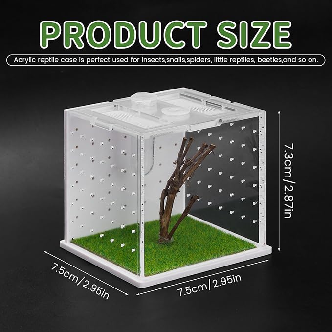 Acrylic Jumping Spider Enclosure, 2.95×2.95×2.87in Transparent Reptile Terrarium, Versatile Tarantula Enclosure for Small Reptiles/Insects, Small Reptile Tank with Dropper, Jumping Spider Accessories-PurrikoPets