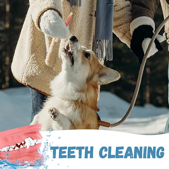 Dog Treats Chicken Wrapped Cod Sticks, Natural Chicken Cod Jerky Treats Rich in Omega-3, High Protein Chewy Training Treats Dog Snacks for Small Medium Large Dogs, 15-17 Counts, 10.6 oz-PurrikoPets