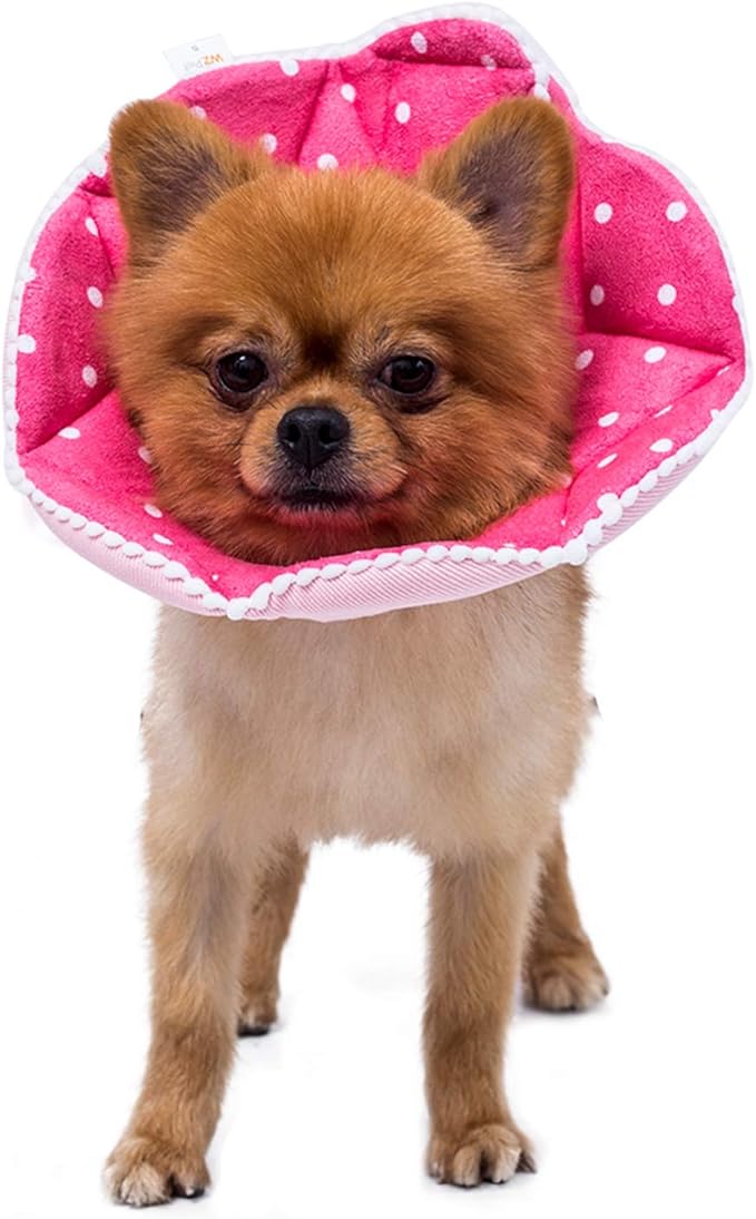 Adjustable Dog Cat Cone,Soft Recovery Cat Cone Collar,Dog Protective Collar for Cats and Puppy Surgery,Pink,Small-PurrikoPets