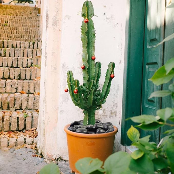 40 lbs Black River Rocks for Landscaping, 2-3 inch Pebbles for Indoor Plants, Large Decorative Stones for Planters Aquarium Fish Tank and Garden Rocks-PurrikoPets