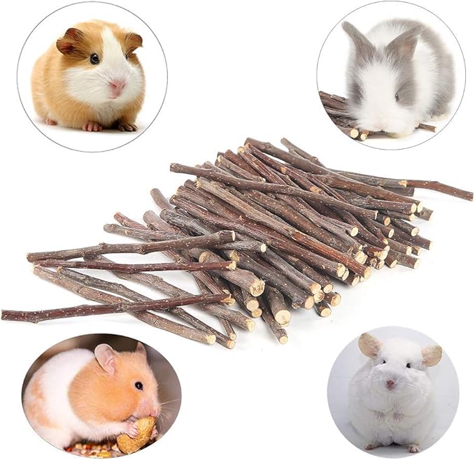 250g Apple Sticks Small Animals Molar Wood Treats Toys for Rabbits Chinchillas Guinea Pig Hamster Gerbil Parrot Bunny and Small Animals Chew Stick Toys Treats-PurrikoPets