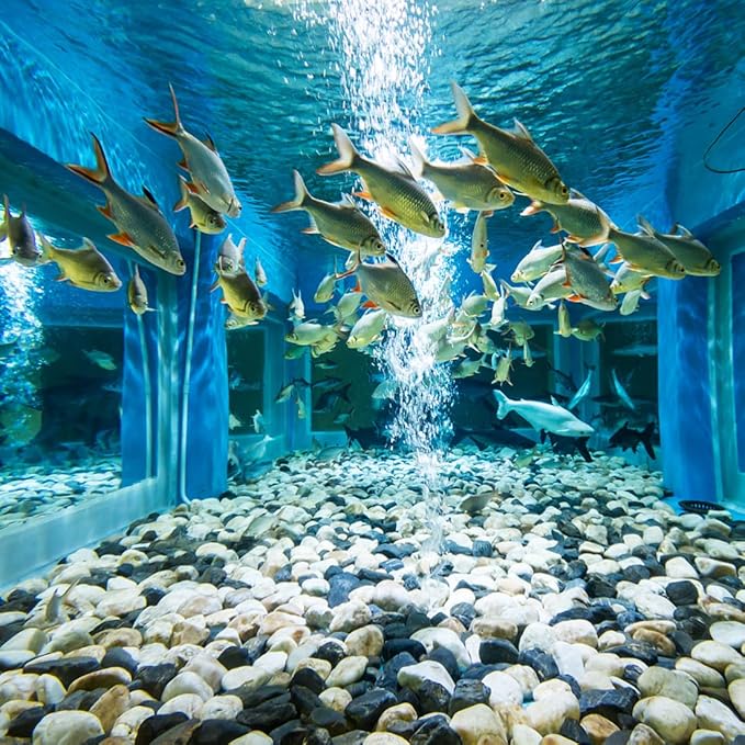 2lbs Natural River Rocks, 1/4" Aquarium Gravel Succulent Cactus Pea Gravel for Plants, Fish Tank, Decorative Pebbles for Gardening, Flower Pots, Vase Fillers, Indoor Water Fountains, Landscaping-PurrikoPets