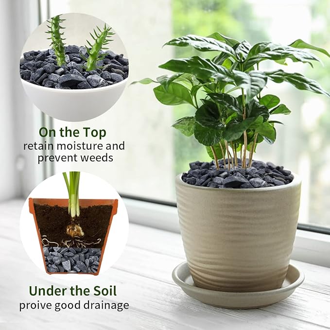 5lbs Black Pea Gravel, 3/8 Inch Decorative Pebbles Succulent Rocks, Black River Rocks Stones for Planters Vase Landscaping and Outdoor Garden Rock-PurrikoPets