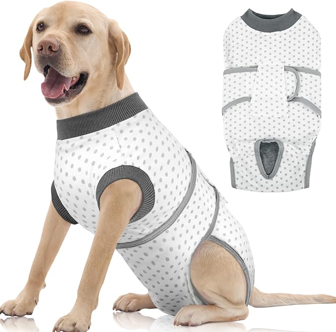 FUAMEY Dog Recovery Suit Male,Dogs Surgery Neuter Suits Puppy Spay Shirts for Female Protect Dog's Skin Anti Licking Abdominal Wounds Doggie Onesie Pet Bodysuit Alternative to Cone Polka Dot XXL-PurrikoPets