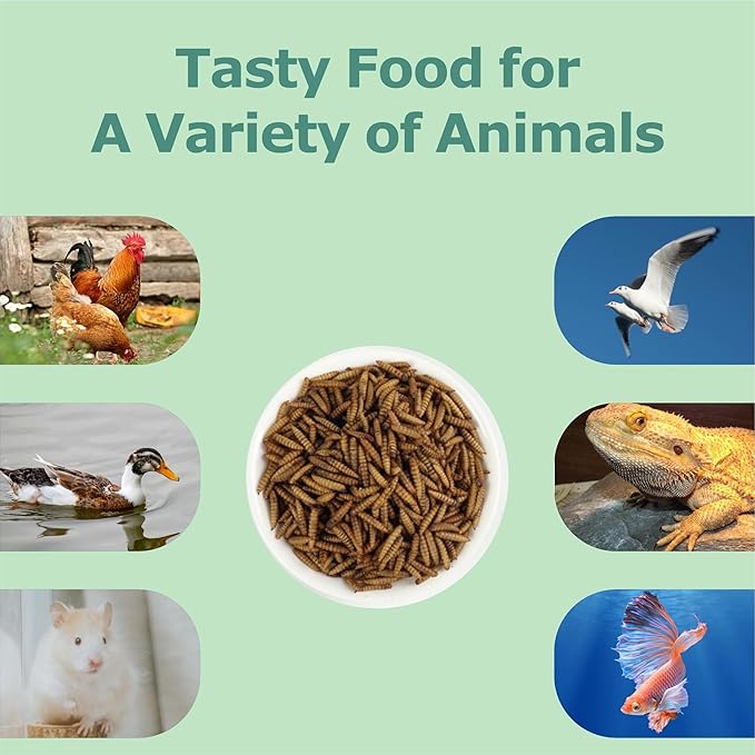 10LB Dried Black Soldier Fly Larvae, More Calcium Than Dried Mealworms, High Protein Chicken Feed, Poultry Treat-PurrikoPets