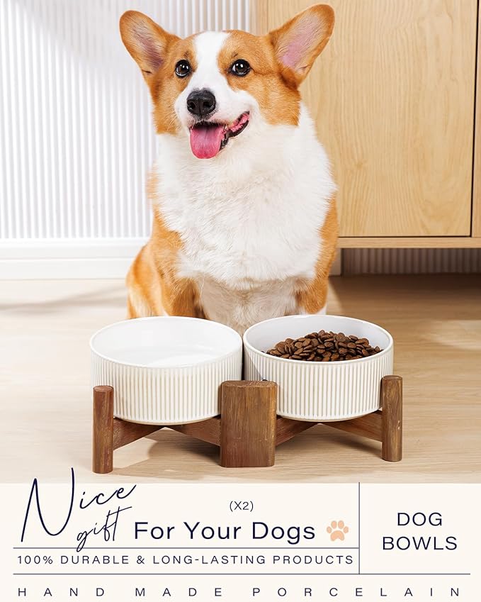 Getstar Ceramic Dog Bowls with Acacia Wood Stand, 30 fl oz, Set of 2, Dog Food Bowl, Cat Bowls (6.5 inches) (Vintage White)-PurrikoPets