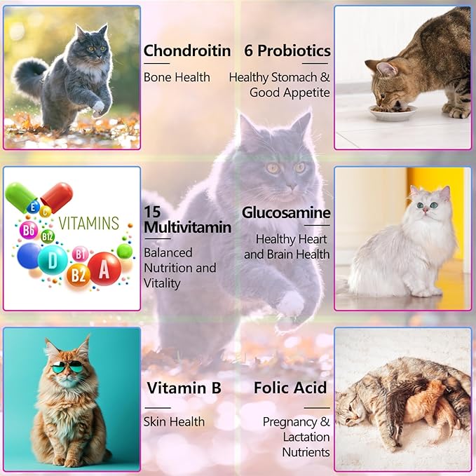 15-in-1 Multivitamin Drops for Cats - Immune Support, Skin & Coat Health, Digestion, Joint Care - with Vitamins A, B, C, D, E - Liquid Supplement for All Life Stages, Easy to Use, 2 fl.oz-PurrikoPets