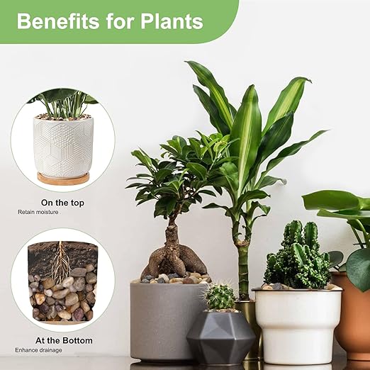 5 lbs Drainage Rocks for Potted Plants, 1/5 Inch Small Pebbles for Indoor Plants, Decorative Gravel for Vases, Bamboo, Succulent, Terrarium, Crafts, Cactus-PurrikoPets