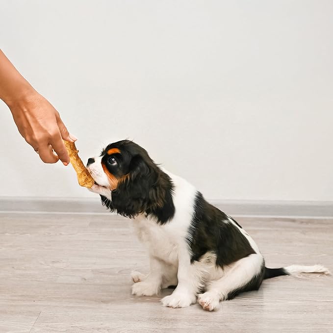 Fieldcrest Farms Nothin' to Hide 3 inch Ultra Knotted Bone Treats - Natural Rawhide Alternative Treats for Dogs, Collagen Based Snack for Heavy Chewers up to 15lbs - Chicken Flavor, 12 Pack-PurrikoPets