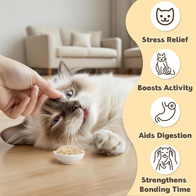 80PCS Catnip - Cat Nip for Cats Natural Dried Catnip Treats Premium Cat Nip Perfect for Toys, Training Rewards, Stress Relief, Freshly Harvested Bag Bulk Pack,2.8OZ-PurrikoPets