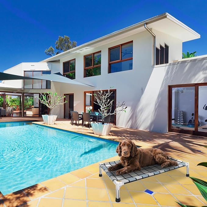 Elevated Outdoor Raised Dog Bed Outdoor Dogs Bed Lifted Pet Bed Dog Cot for Medium Pet Taste Life, Start with A Pet Bed 34'' x 20'' x 6.5''-PurrikoPets