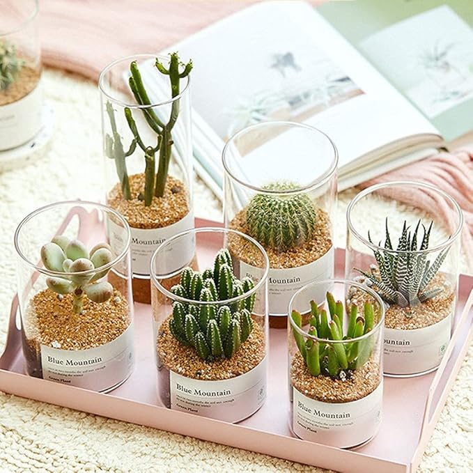 18lb Cactus Pea Gravel Rocks,1/5 Inch Pebbles for Indoor Plants, Natural Succulent Rock and River Rocks Decorative for Aquariums, Vases, Terrarium, Outdoor Gardening, Top Dressing for Potted Plants-PurrikoPets