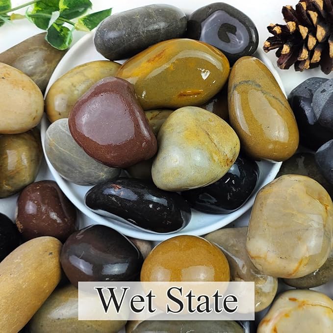 20lbs Natural River Rocks, 2"-3" Premium Pebbles for Garden and Landscape Design, Hand-Picked Smooth Stones for Fish Tank, Flower Pots, Indoor Water Fountains, Pathways, Backyard-PurrikoPets