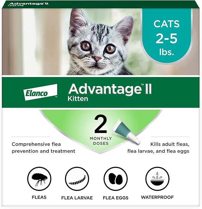 Advantage II Kitten Vet-Recommended Flea Treatment & Prevention | Cats 2-5 lbs. | 2-Month Supply-PurrikoPets