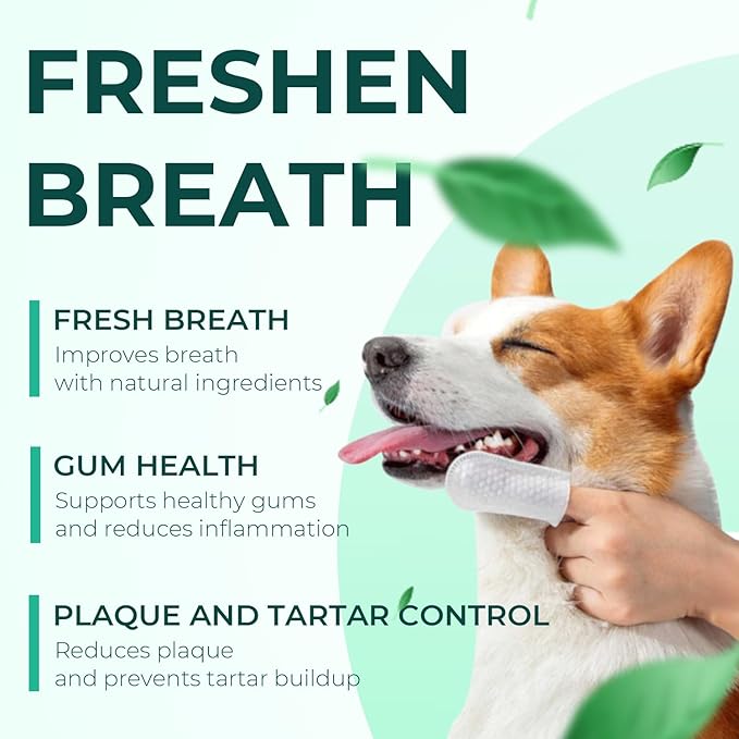 Dog Teeth Cleaning Wipes 50 Pack, Reduces Plaque and Freshens Breath, Dog Dental Wipes Dog Tooth Brushing Kit, No-Rinse Dog Toothbrush Finger Wipes Dental Care for Dogs Cats-PurrikoPets