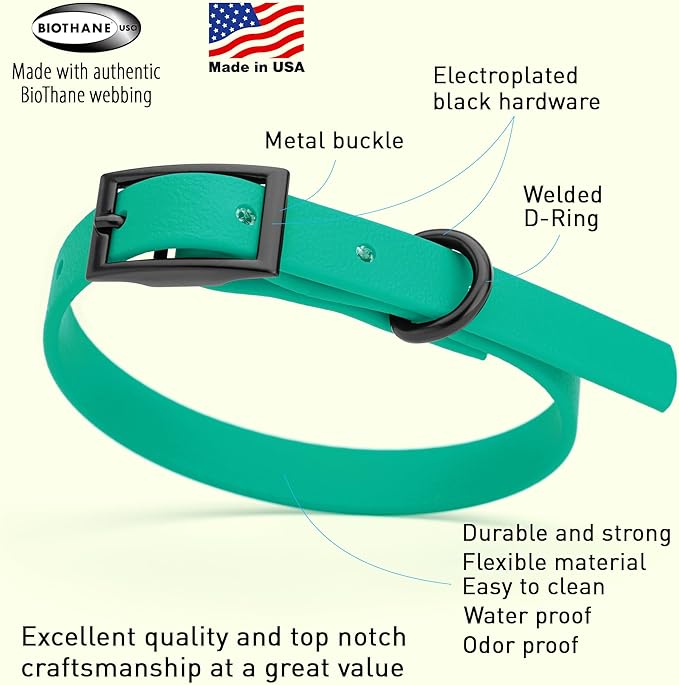 Dogline Biothane Waterproof Dog Collar Strong Coated Nylon Webbing with Black Hardware Odor- Proof for Easy Care Easy to Clean High Performance Fits Small Medium or Large Dogs, Teal-PurrikoPets