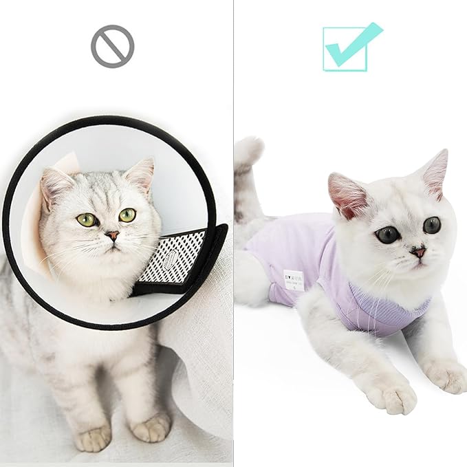 DOTON Cat Recovery Suit for Male and Female Surgical Post Surgery Soft Cone Onesie Shirt Clothes Neuter Licking Protective Diapers Outfit Cover Kitten Spay Collar(M, Purple)-PurrikoPets