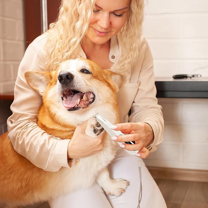 2 Mode Paw Trimmer for Dogs & Cats - Electric Quiet Dog & Cat Grooming Trimmer, Rechargeable Clipper with LED Light, 2 Blades, Waterproof for Paws/Ears/Face-PurrikoPets