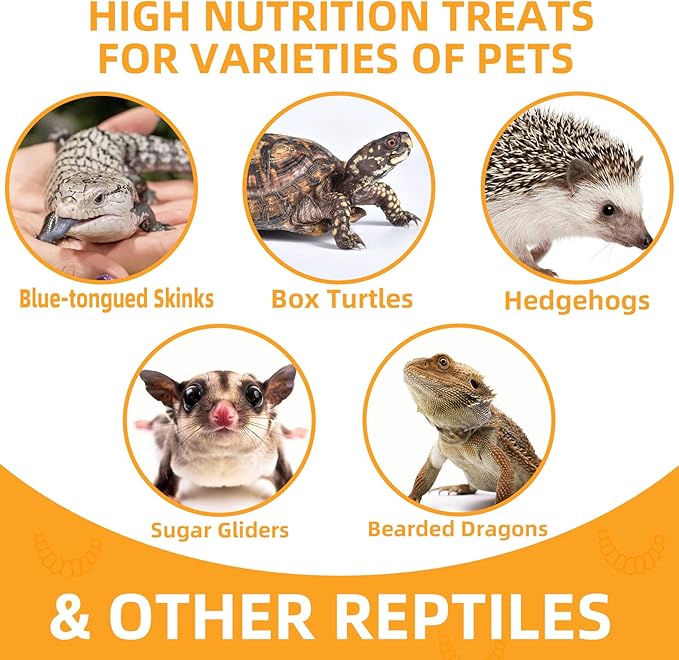 Freeze Dried Mealworms 6 Oz - High Protein Pet Food for Reptiles, Bearded Dragons, Birds & Hedgehogs - Nutrient-Packed Treat for Lizards, Geckos, Turtles, Chickens-PurrikoPets