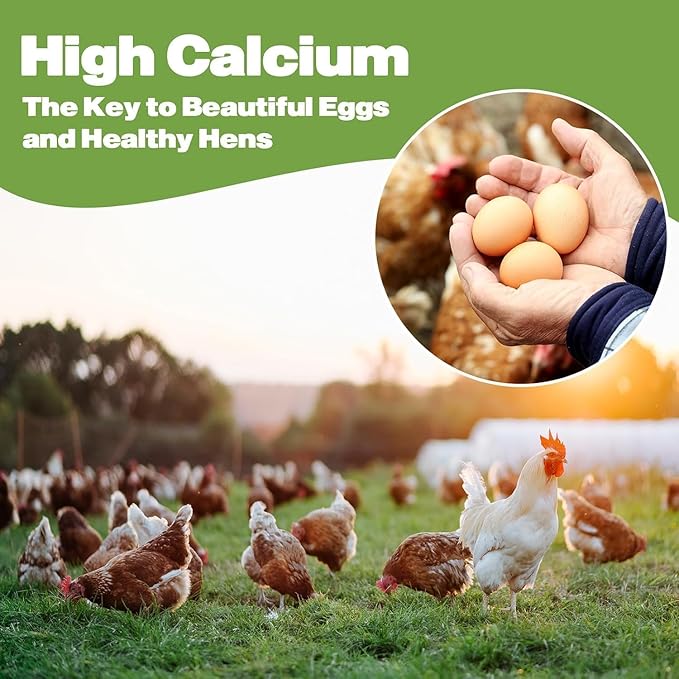 20LB Dried Black Soldier Fly Larvae, 86X Calcium Than Dried Mealworms, High Protein Non-GMO Organic Chicken Feed-PurrikoPets