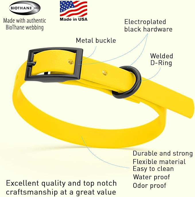 Dogline Biothane Waterproof Dog Collar Strong Coated Nylon Webbing with Black Hardware Odor- Proof for Easy Care Easy to Clean High Performance Fits Small Medium or Large Dogs, Lemon Yellow-PurrikoPets
