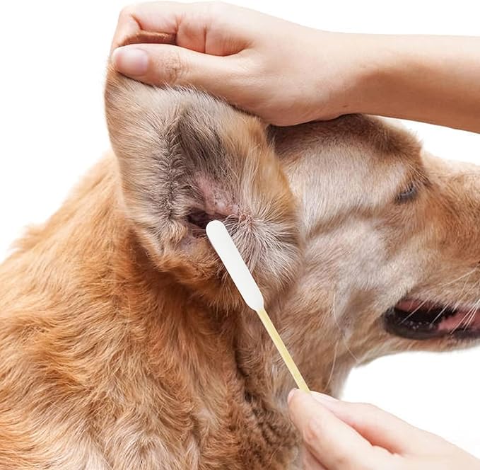 Dog Q Tips, Qtips Cotton Swabs for Dogs, 6-Inch Long Ear Cleaning Swabs, Wound Care, 800 Count, Eco-Friendly Bamboo Cotton, Pet Ear Care-PurrikoPets