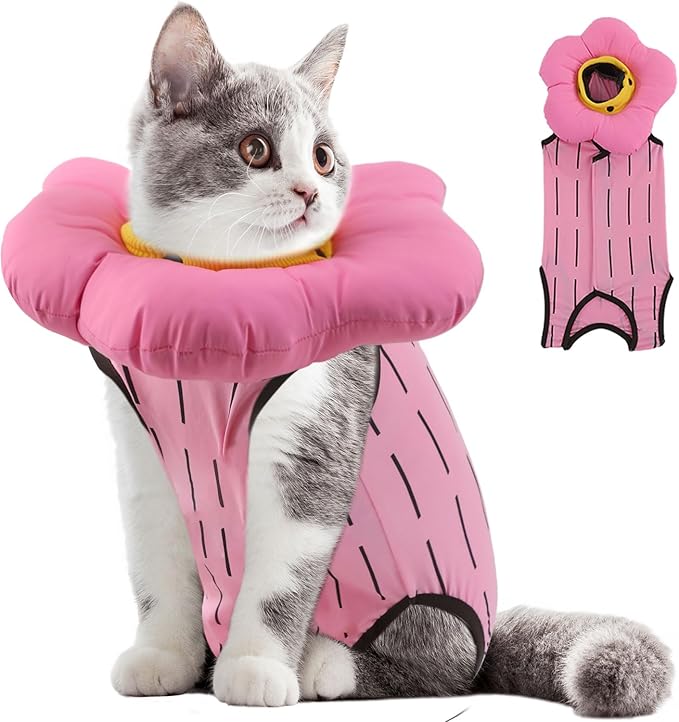 EMUST Cute Cat Recovery Suit & Cone Collar Set - Soft, Adjustable Flower Collar for Female Kittens Under 4lb (Pink, S)-PurrikoPets