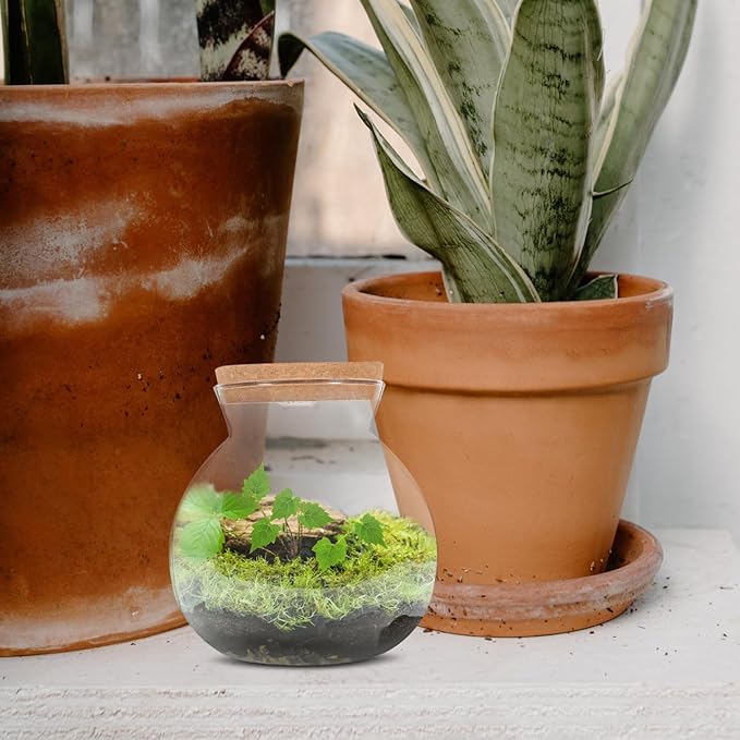 Fish Bowl with LED Light - Small Betta Fish Tank with LED Lighting and Lid Glass Fish Bowl Small Aquarium for DIY Landscape-PurrikoPets