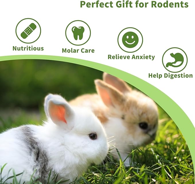 Fhiny Rabbit Chew Toys, 6 PCS 3.9" Natural Papaya Wood Chew Sticks Guinea Pig Treats for Dental Care Bunny Treats for Rabbits Small Pet Molar Snacks for Bunny Guinea Pig Chinchilla Hamster Gerbil-PurrikoPets