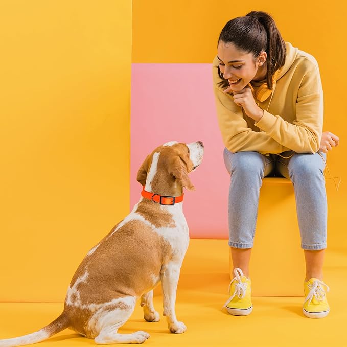 Dogline Biothane Waterproof Dog Collar Strong Coated Nylon Webbing with Black Hardware Odor- Proof for Easy Care Easy to Clean High Performance Fits Small Medium or Large Dogs, Hunter Orange-PurrikoPets