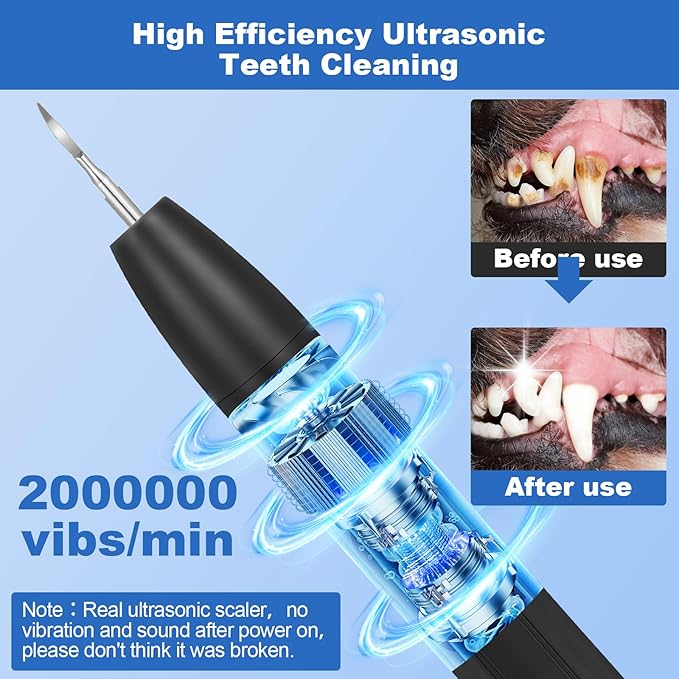 Dog Tooth Brushing Kit,Dogs Teeth Cleaning Kit with Light,3 Modes Doggie Plaque and Tartar Remover for Teeth,Low Noise Dog Teeth Cleaner and Dental Care, Black1-PurrikoPets