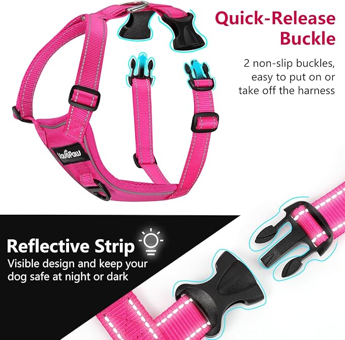 Dog Seat Belt Harness for Car, Dog Car Harness Adjustable Mesh Breathable & Dog Seatbelt Safety Tether with Elastic Bungee for Small Medium Large Pets(Rose, M)-PurrikoPets