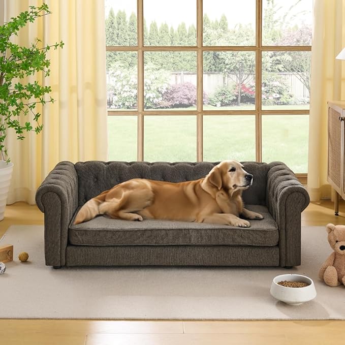 Dog Sofa Couch for Medium to Large Dogs, 55" Memory Foam Pet Sofa Couch with Washable Fabric, Durable Elevated Dog Bed with Legs, Removable Cushion for Medium and Large Dogs, Dark Grey-PurrikoPets