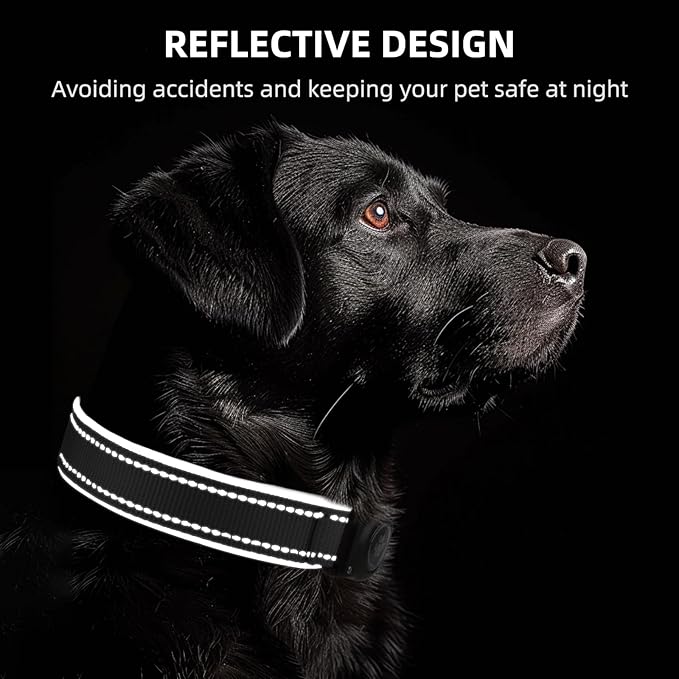 Airtag Dog Collar - 100% Waterproof Air tag Dog Collar Holder for Apple AirTag, Reflective, Soft Padded, Everlasting, GPS Dog Collar for Small Medium Large Dogs (Black, M)-PurrikoPets