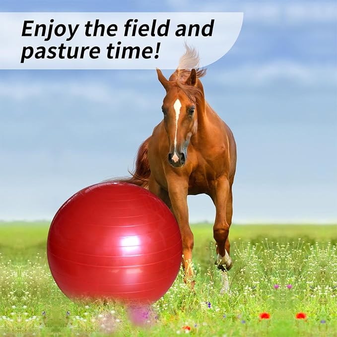 17-Inch Equine Ball for Play & Training - Anti-Burst, Mega Horse Soccer Ball for Goat, Donkey-PurrikoPets