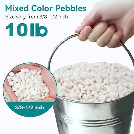 10 lbs Small White Rocks for Planters, 3/8" White Pebbles for Vases, Decorative Small Stones for Plants, Succulents, Bamboo, Terrarium, Landscape, Garden-PurrikoPets