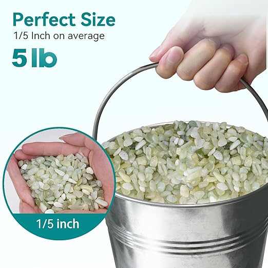 5 lbs Jade Pebbles for Indoor Plants, 1/5 Inch Succulent and Cactus Pebbles, Decorative Gravel for Vases, Bamboo,Terrarium, Crafts, Cactus-PurrikoPets