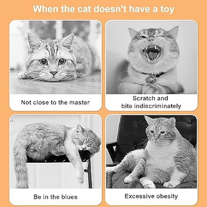 Folded Cat Tunnel Toy for Indoor Cats, 2 PCS Collapsible Pet Spring Cat Toys with Feather Mouse Upgrade Interactive Toy Playing Tent for Puppy Kitten Accessories Home-PurrikoPets