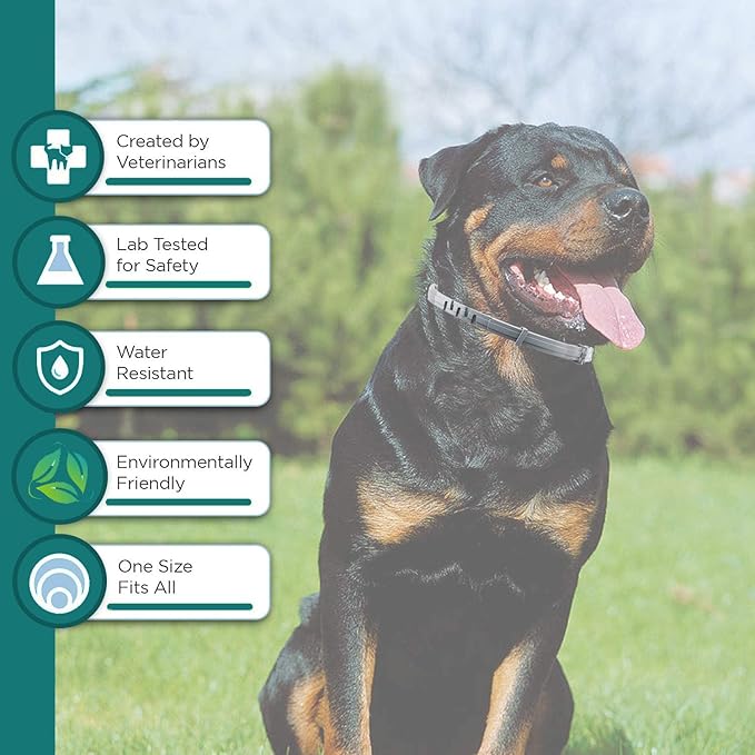 Flea and Tick Collar for Small Dog, Made with Natural Plant Based Essential Oil, Safe and Waterproof, Free Comb and Prevention Treatment Drop, 2x6 Month, 13.8 in (2 Packs)-PurrikoPets