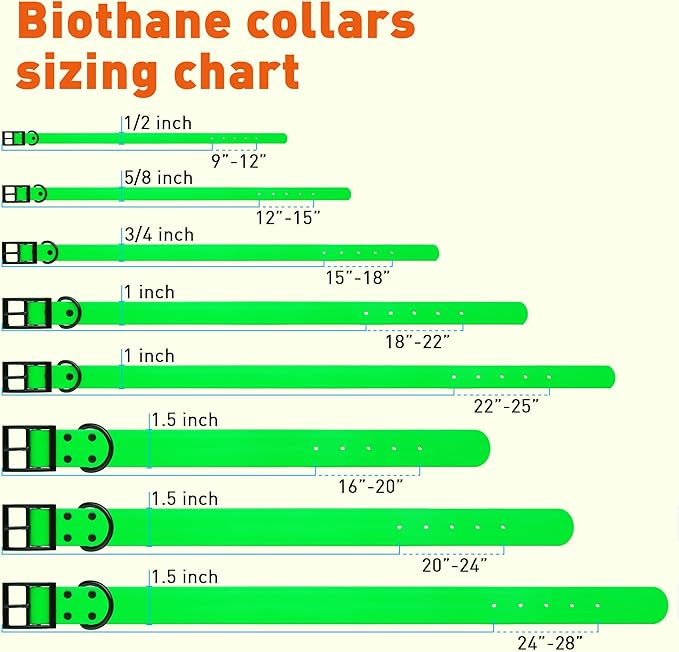 Dogline Biothane Waterproof Dog Collar Strong Coated Nylon Webbing with Black Hardware Odor- Proof for Easy Care Easy to Clean High Performance Fits Small Medium or Large Dogs, Tropical Green-PurrikoPets
