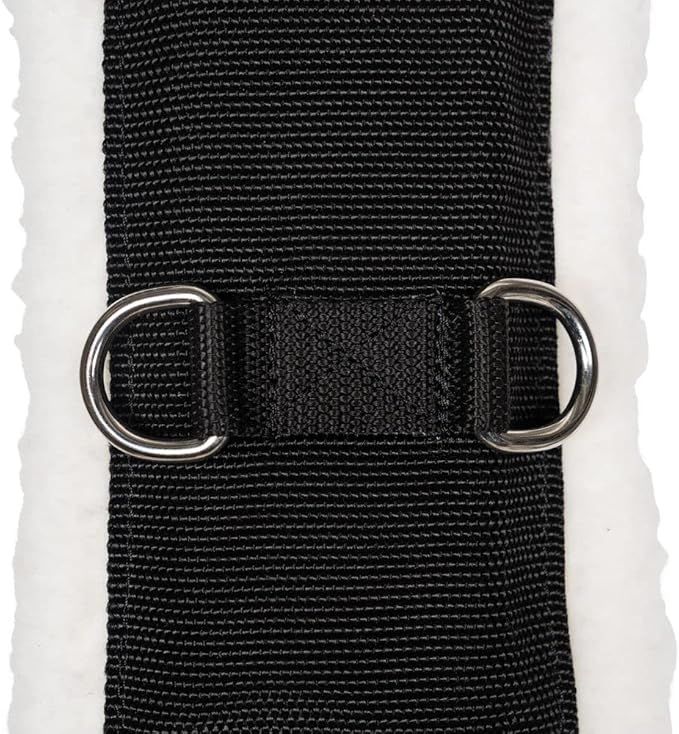 Dura-Tech Fleece Lined Training Surcingle for Horses | Essential for Lunging Work | Comfortable Fleece Lining | Durable Poly Material | Versatile D-Ring Placement | Suitable for All Training Levels-PurrikoPets
