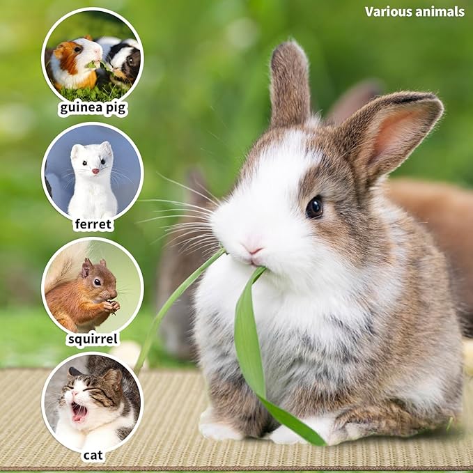 2Pcs Rabbit Scratch Mat,16 x 12 Inch Sisal Rabbit Scratching Pad,Rabbits Scratching Mats for Cages,Claws and Teeth Care Rabbits Chew Toys,Small Pet Bedding for Biting Sleeping Nesting-PurrikoPets