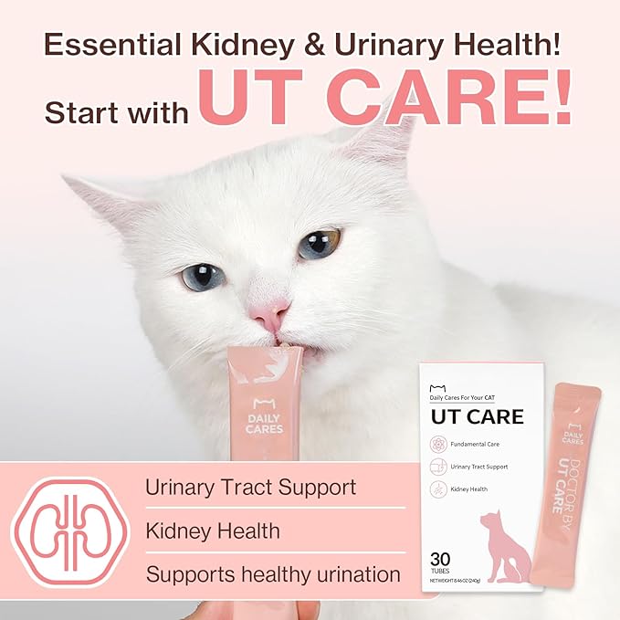 Dr.by UT Care Cat UTI Kidney Support Urinary Supplement Cranberry Treatment for Cats Renal Health with Pacran, Quercetin, Taurine lickable Formula Individually Packaged (1 Pack)-PurrikoPets