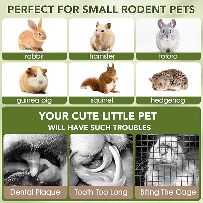 12PCS Rabbit Chew Sticks, Hanging Chew Sticks & Cakes Timothy Hay Rose Chrysanthemum Treat for Bunny Chinchilla Guinea Pig Hamster and Other Small Pets Molar Snack Toy-PurrikoPets