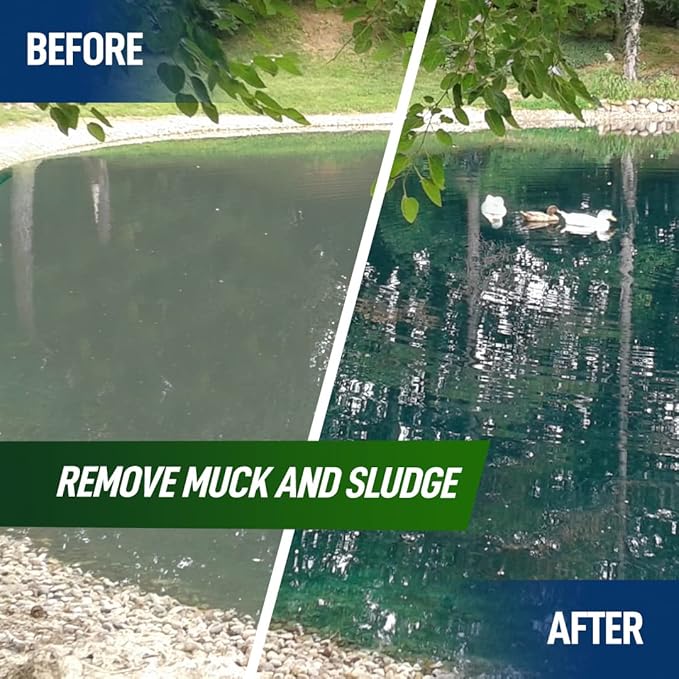4X Pond Cleaner - Reduces Muck & Sludge for a Clean, Natural Look - Super Concentrated Lake and Water Feature Enzymes Treats Up to 1 Acre, Pair with Dye - Safe for Fish and Wildlife (32 oz)-PurrikoPets