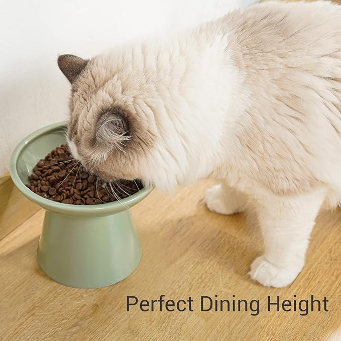 Extra Wide Elevated Ceramic Cat Food Bowl - 6.2" Shallow Dish for Whisker Fatigue Relief, 5" Height for Easy Feeding, Lead & Cadmium Free, Durable Raised Cat Food Bowls, Sage Green-PurrikoPets