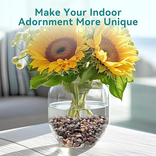 5lbs Terrarium Rocks for Pots Indoor, Succulent, Cactus, Bamboo, Bonsai Tree, 1/5 Inch Rocks for Planters Drainage, Mixed Color Small Lava Rocks for Top-Dressing-PurrikoPets