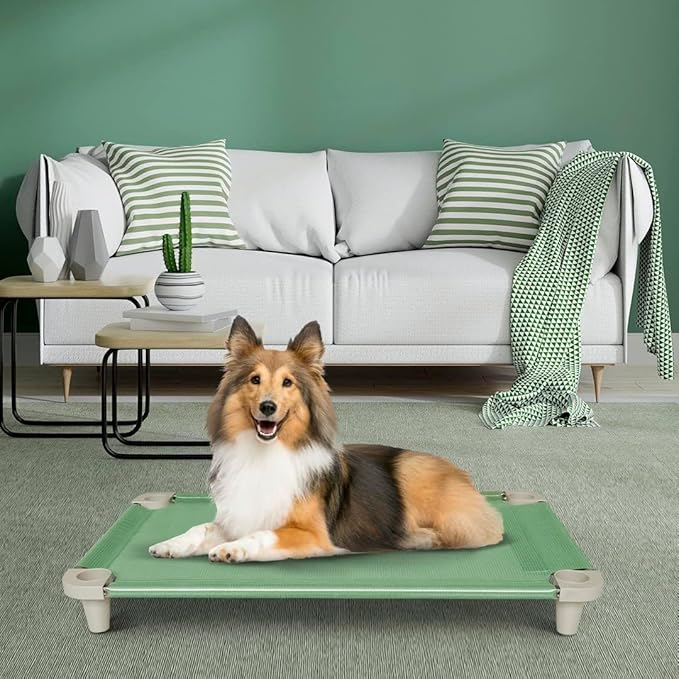 Acrimet Cooling Elevated Pet Dog Bed, Washable and Breathable Mesh Cot, Stainless Steel Frame, Indoor & Outdoor Use, fits Dogs up to 110 lbs (Size: 40” x 24”), Green, 1 Unit-PurrikoPets