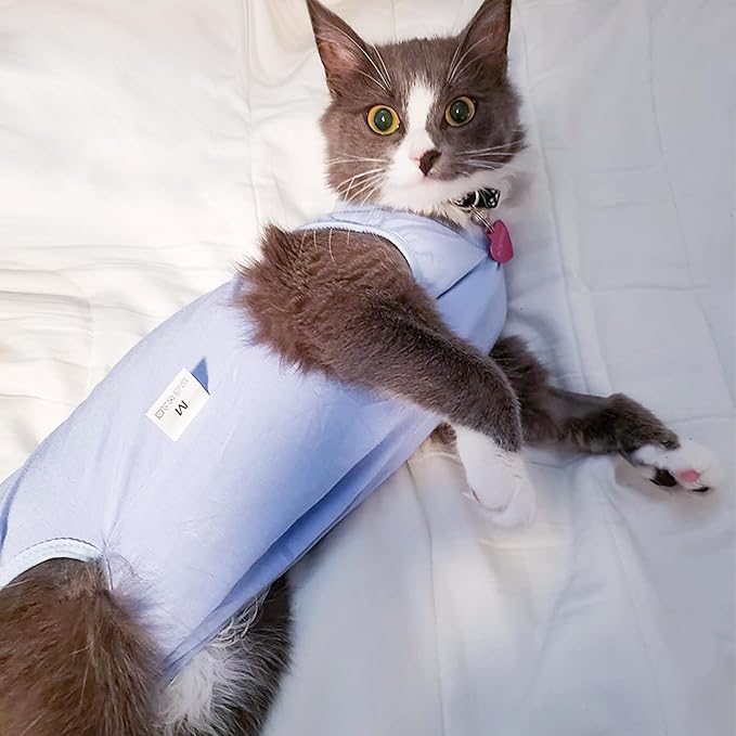 DOTON Cat Recovery Suit for Male and Female Surgical Post Surgery Soft Cone Onesie Shirt Clothes Neuter Licking Protective Diapers Outfit Cover Kitten Spay Collar(M, Blue)-PurrikoPets