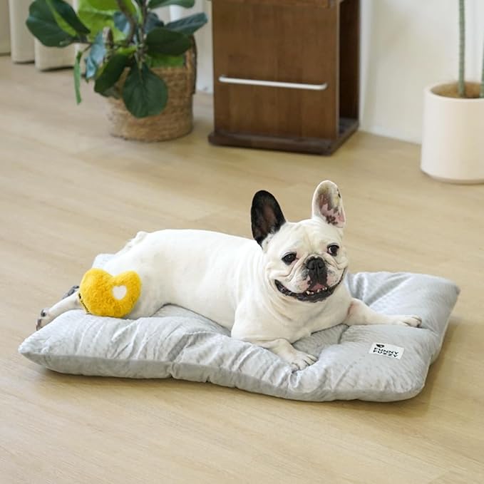 FUNNY FUZZY 2 in 1 Dog Bed Crate Pad Mat, Washable Reversible Floor Sleeping Mats,Fluffy Kennel Pad for Medium Sized Dog,Indoor Cats,Sleeping Mattress, 29.9" × 18.9", Light Grey-PurrikoPets